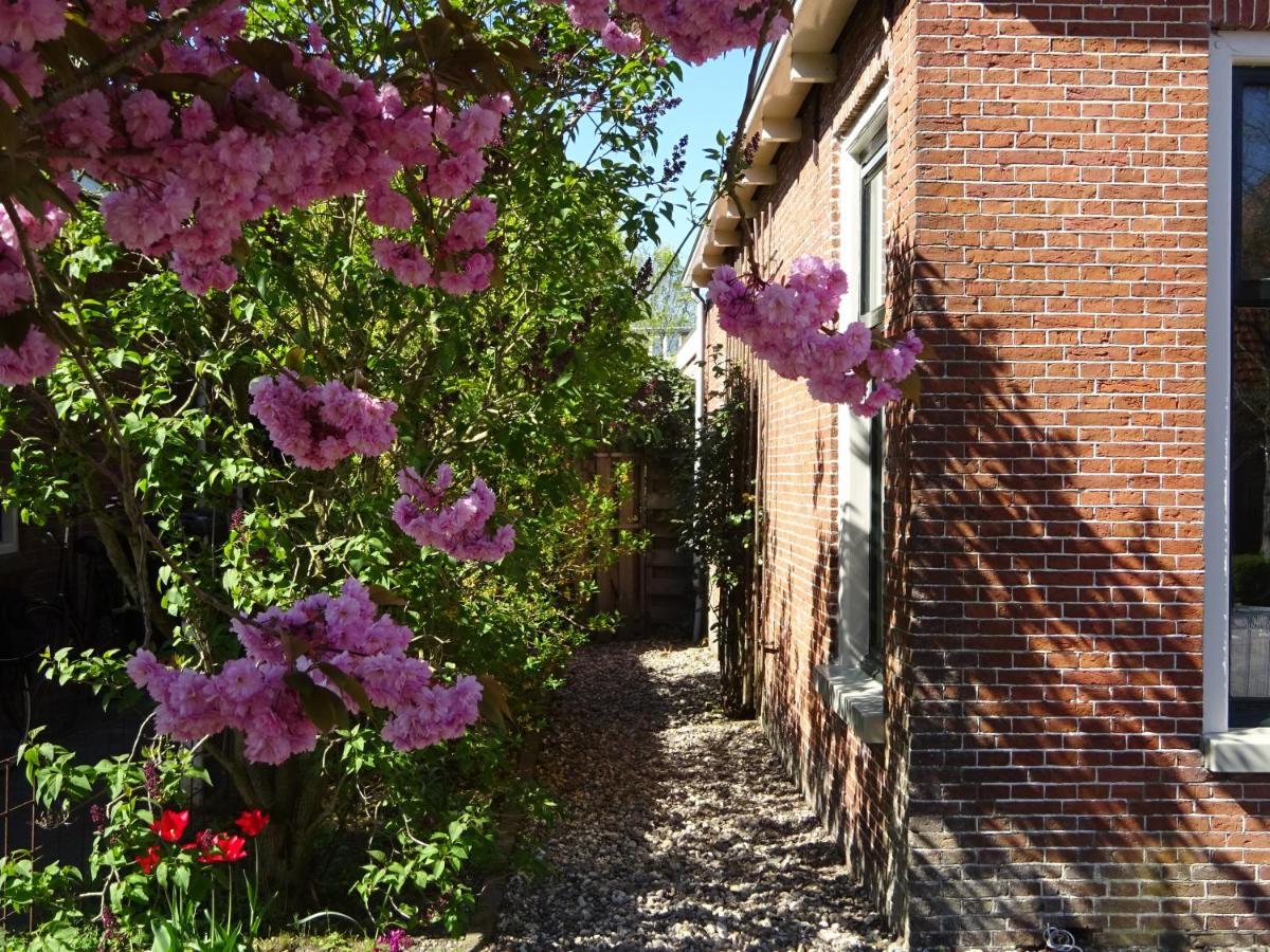 D' Ald Skoalle - Sfeervol Appartement In Oude School. Wijtgaard Buitenkant foto